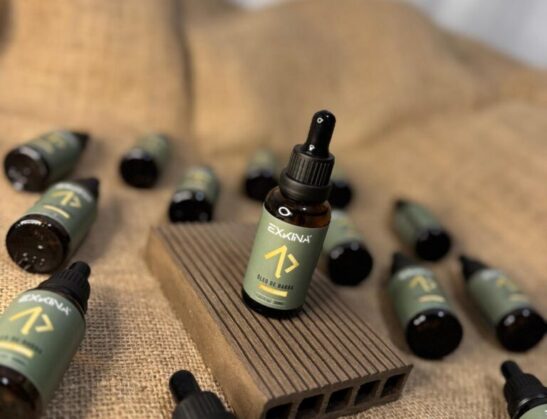 WhatsApp Image 2025-11-27 at 13.03.48